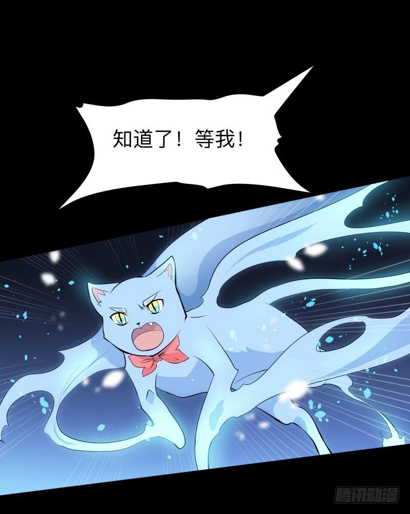 家/2913