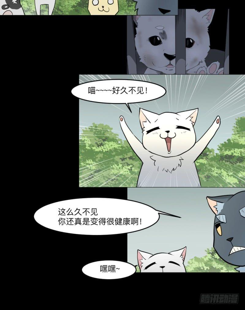 -13 希望之息12