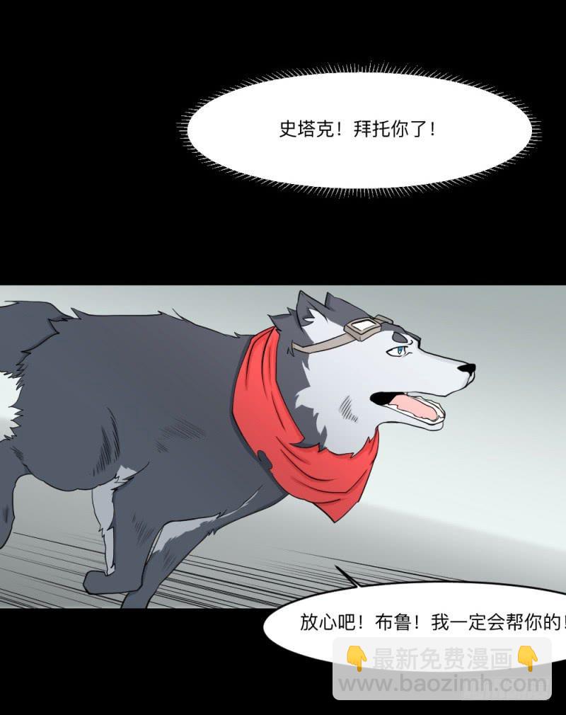 -13 希望之息4