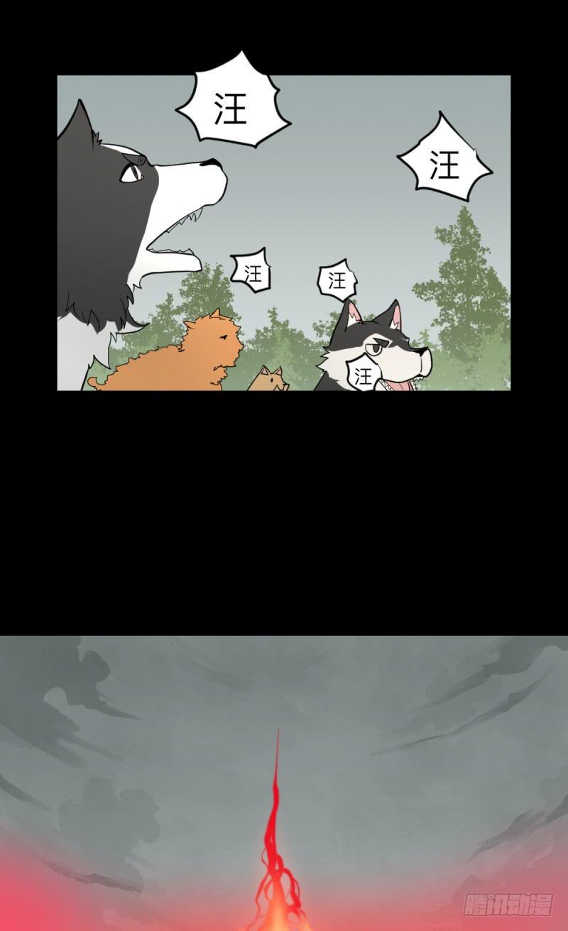 -13 希望之息8
