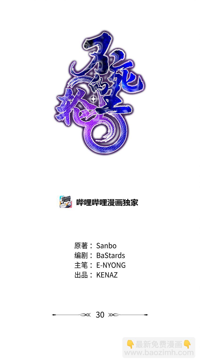 30 飞熊团39