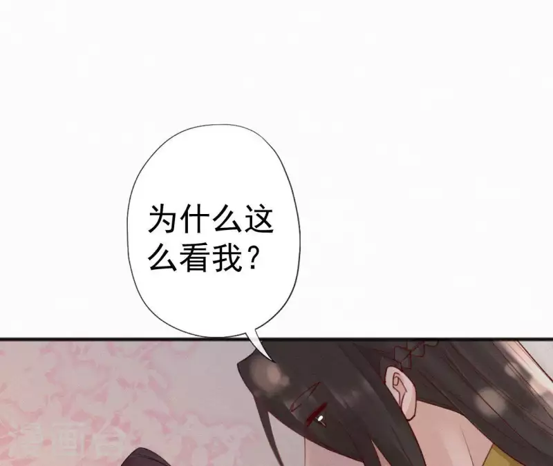 第58话 贺寿24