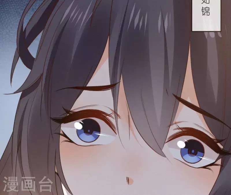 第108话 真正的安如锦80