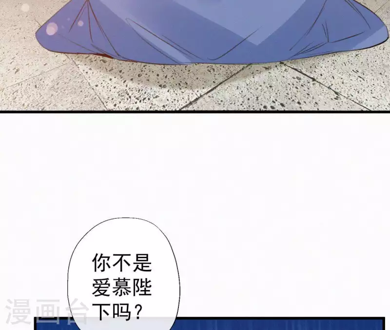 第110话 安如锦的反击5
