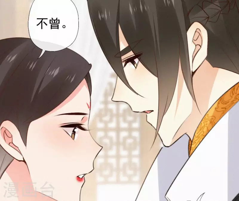 第113话 爱慕之情29