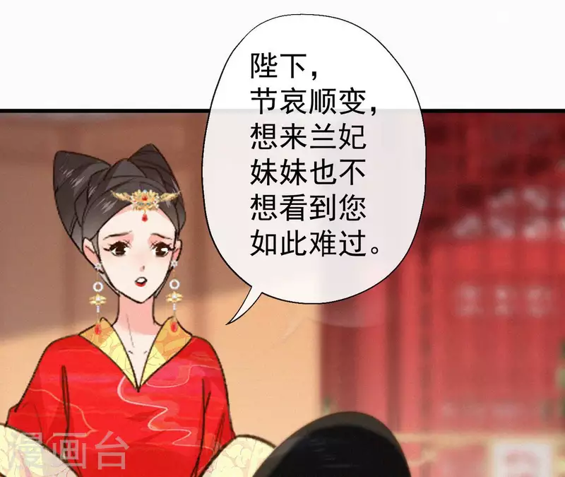 第132话 兰妃之死39