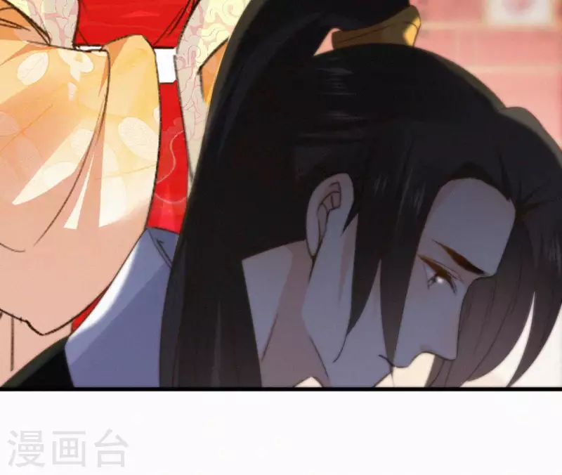 第132话 兰妃之死40
