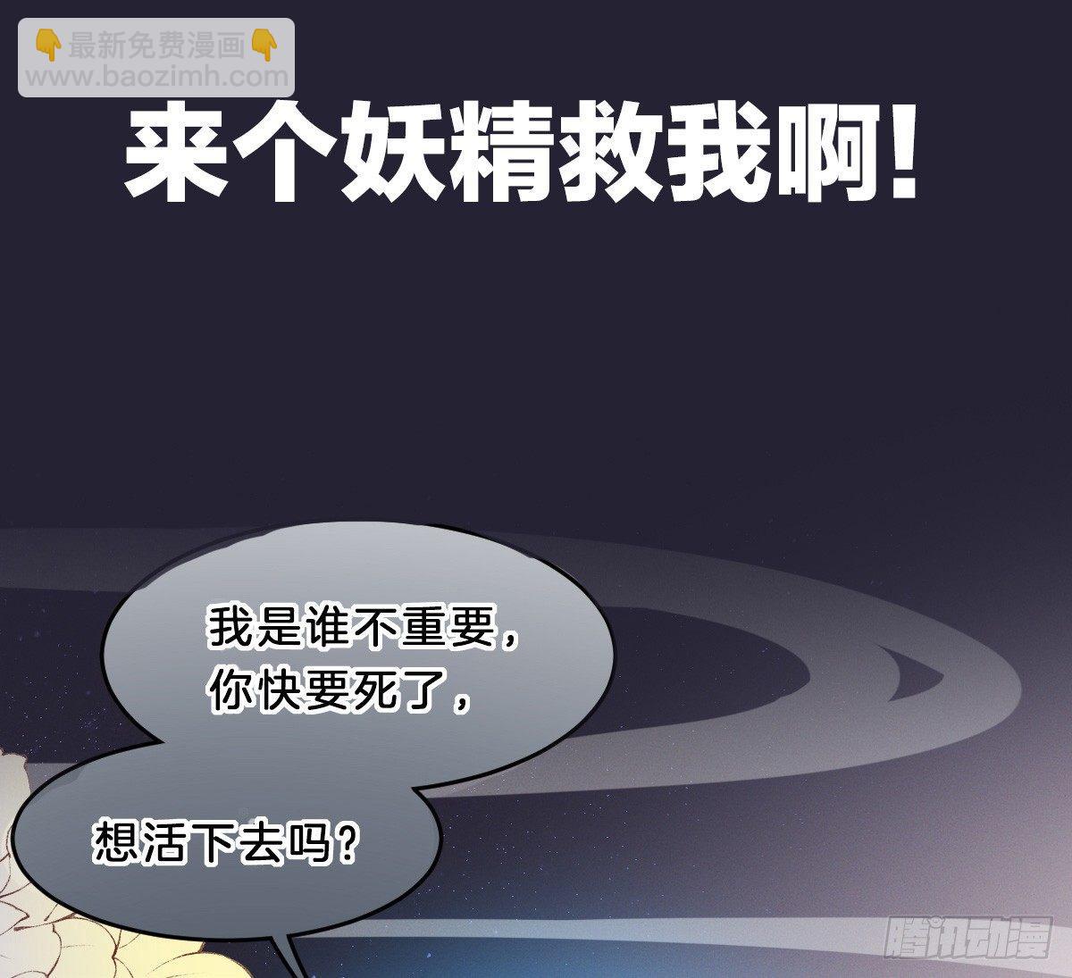 预告 介绍下我的后宫3
