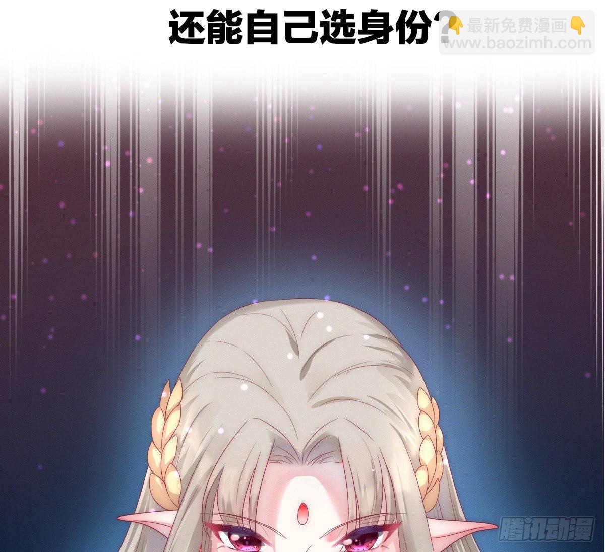 预告 介绍下我的后宫6