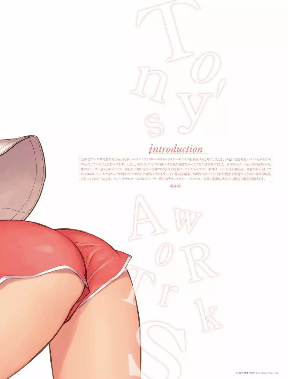 Tony`s Artworks3