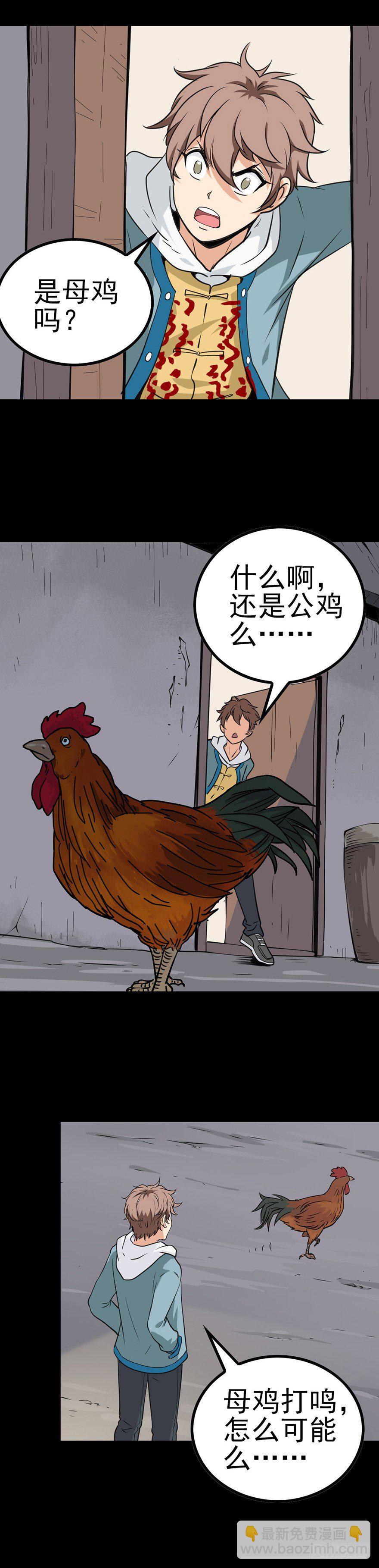 母鸡打鸣5