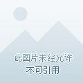 第41话5