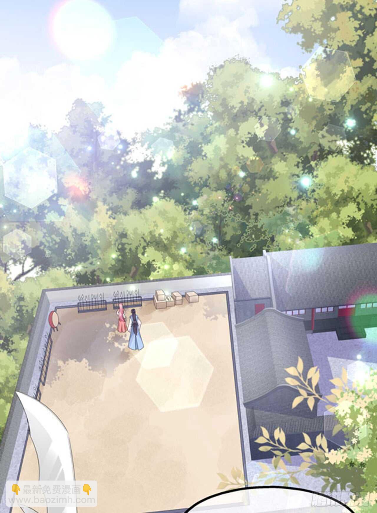 第39话 宸王母妃1