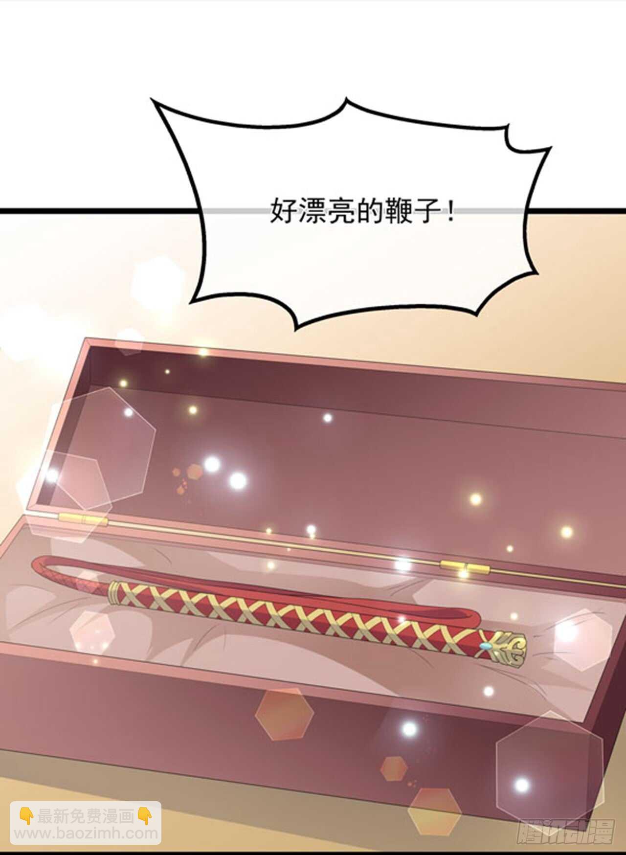 第39话 宸王母妃14