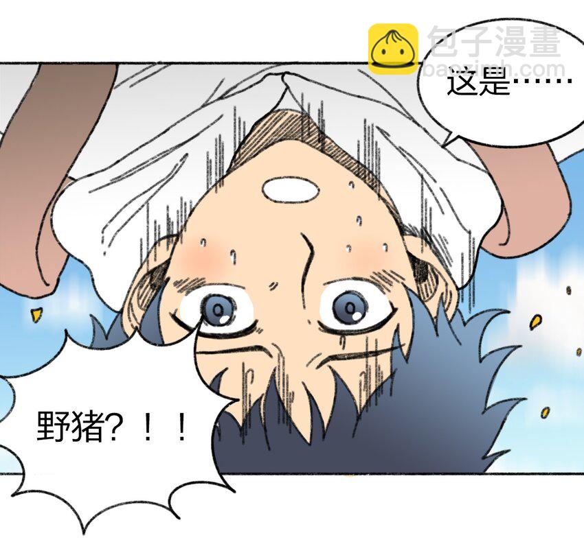 002 野猪侵袭1