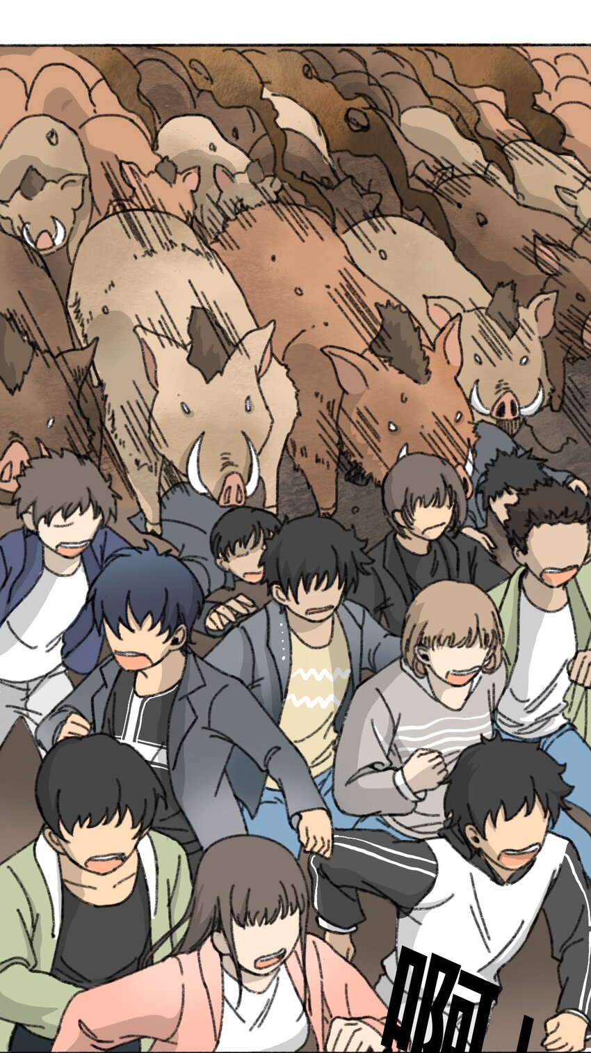 002 野猪侵袭13