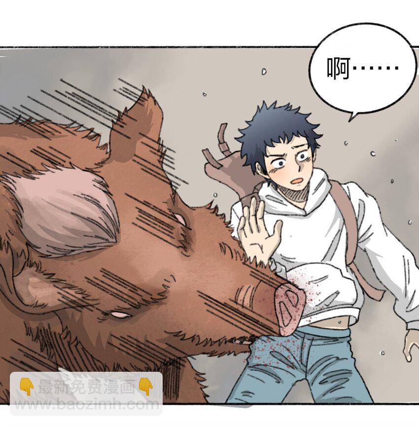 002 野猪侵袭27