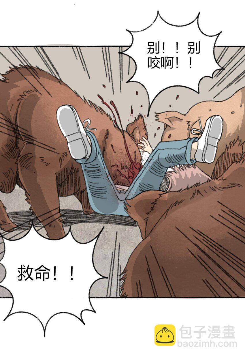002 野猪侵袭28