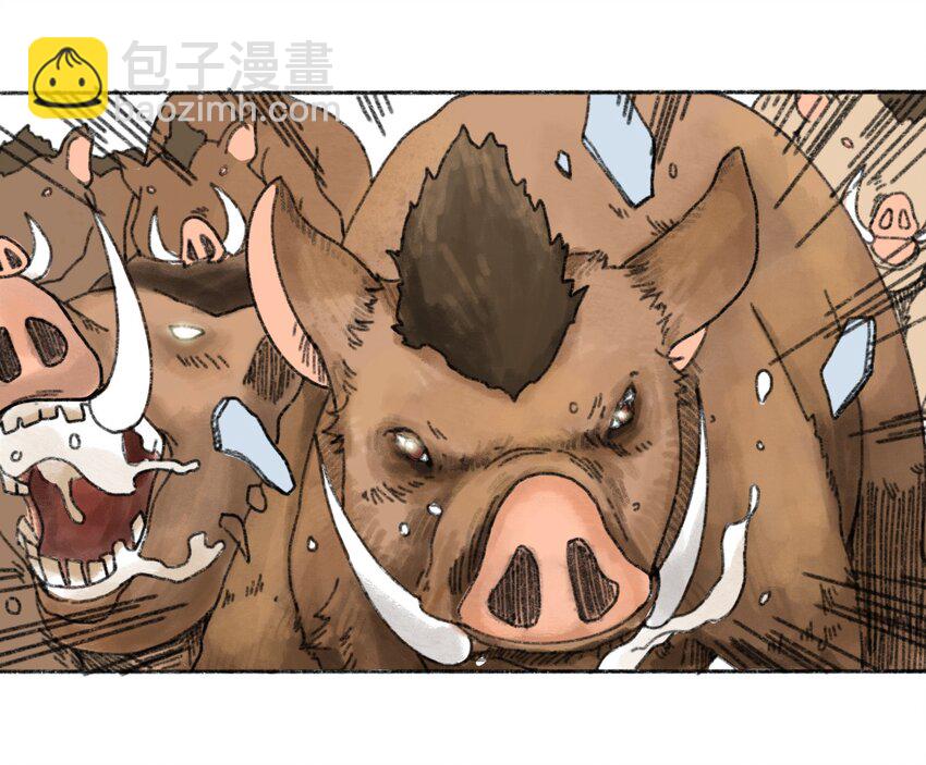 002 野猪侵袭3