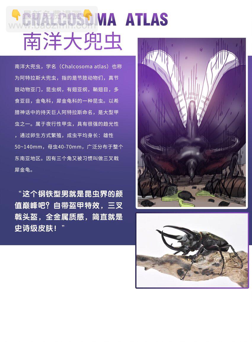番外01 番外01+百科28