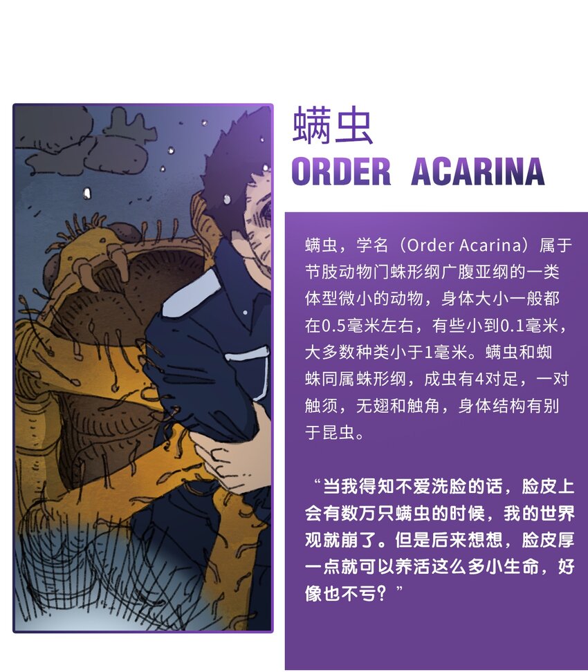 番外01 番外01+百科30