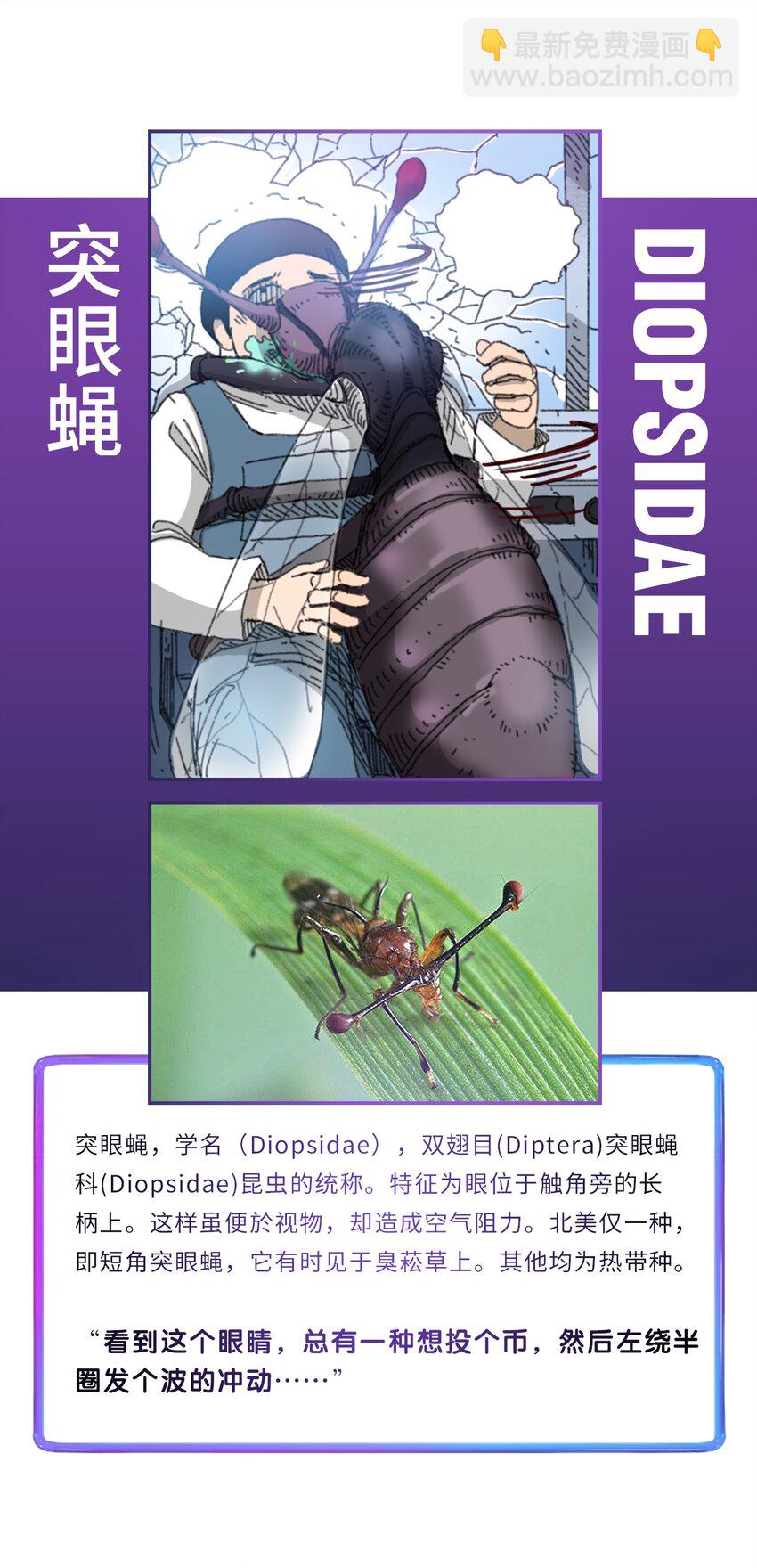 番外01 番外01+百科32