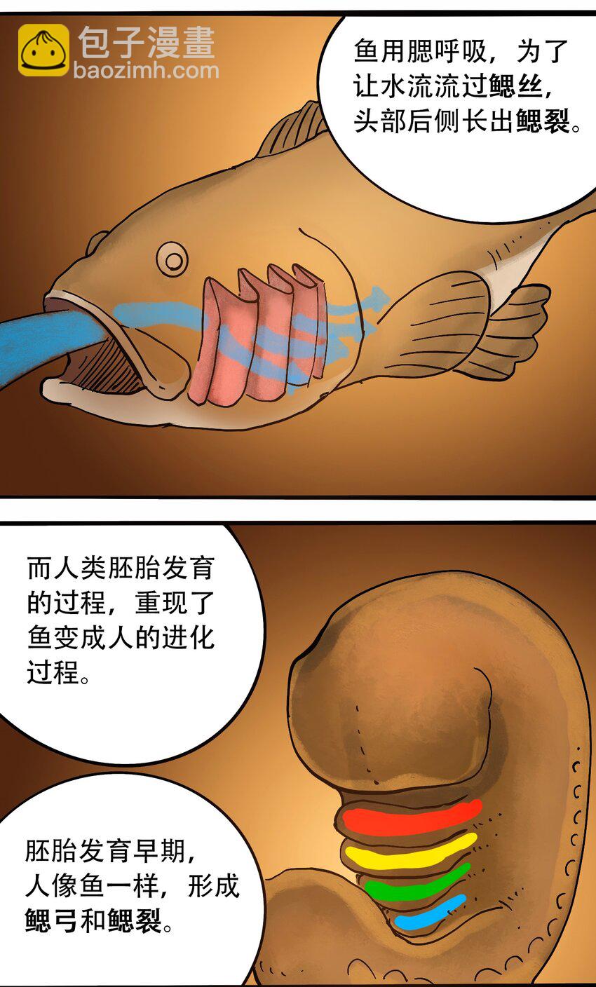 番外3 设计人类10