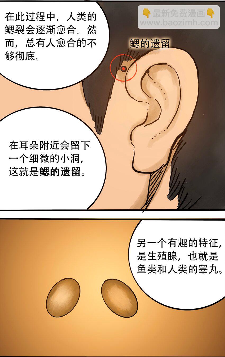 番外3 设计人类12