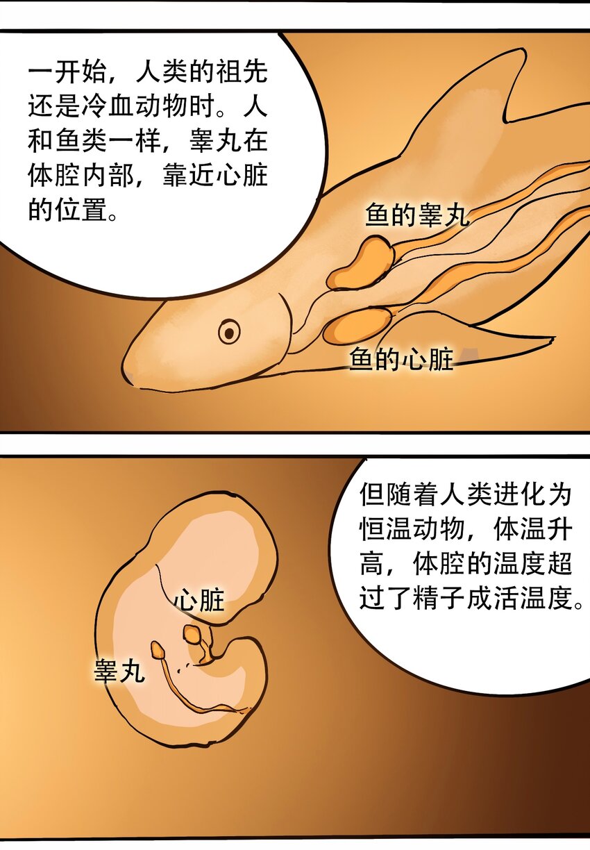 番外3 设计人类13