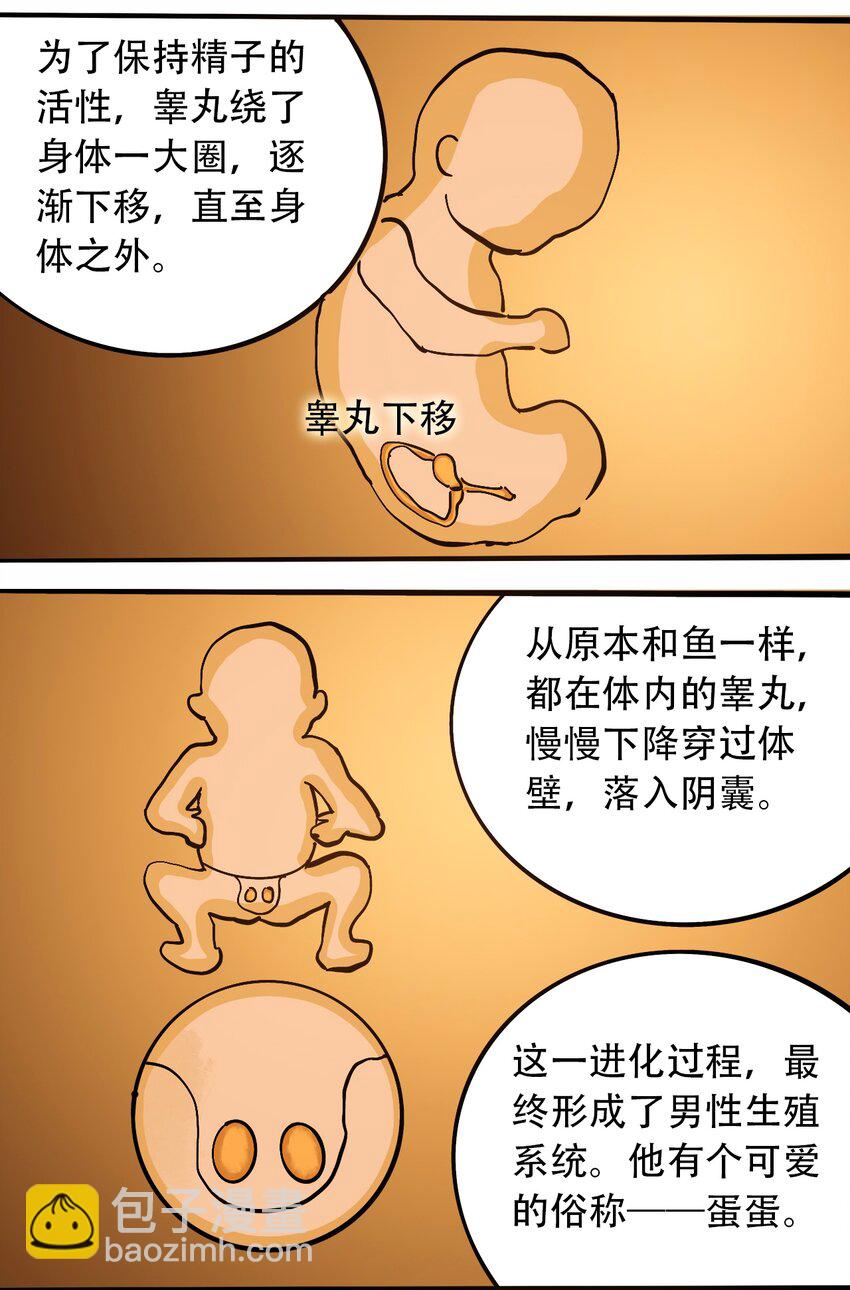 番外3 设计人类14