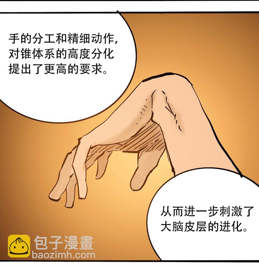 番外3 设计人类16