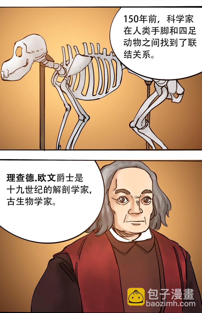 番外3 设计人类17