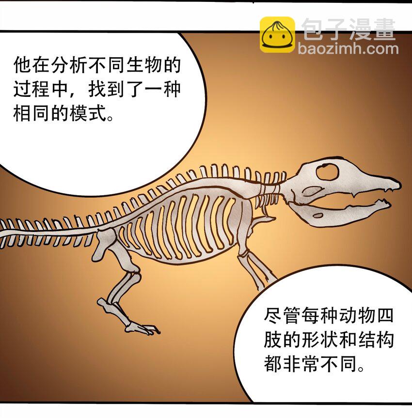 番外3 设计人类18