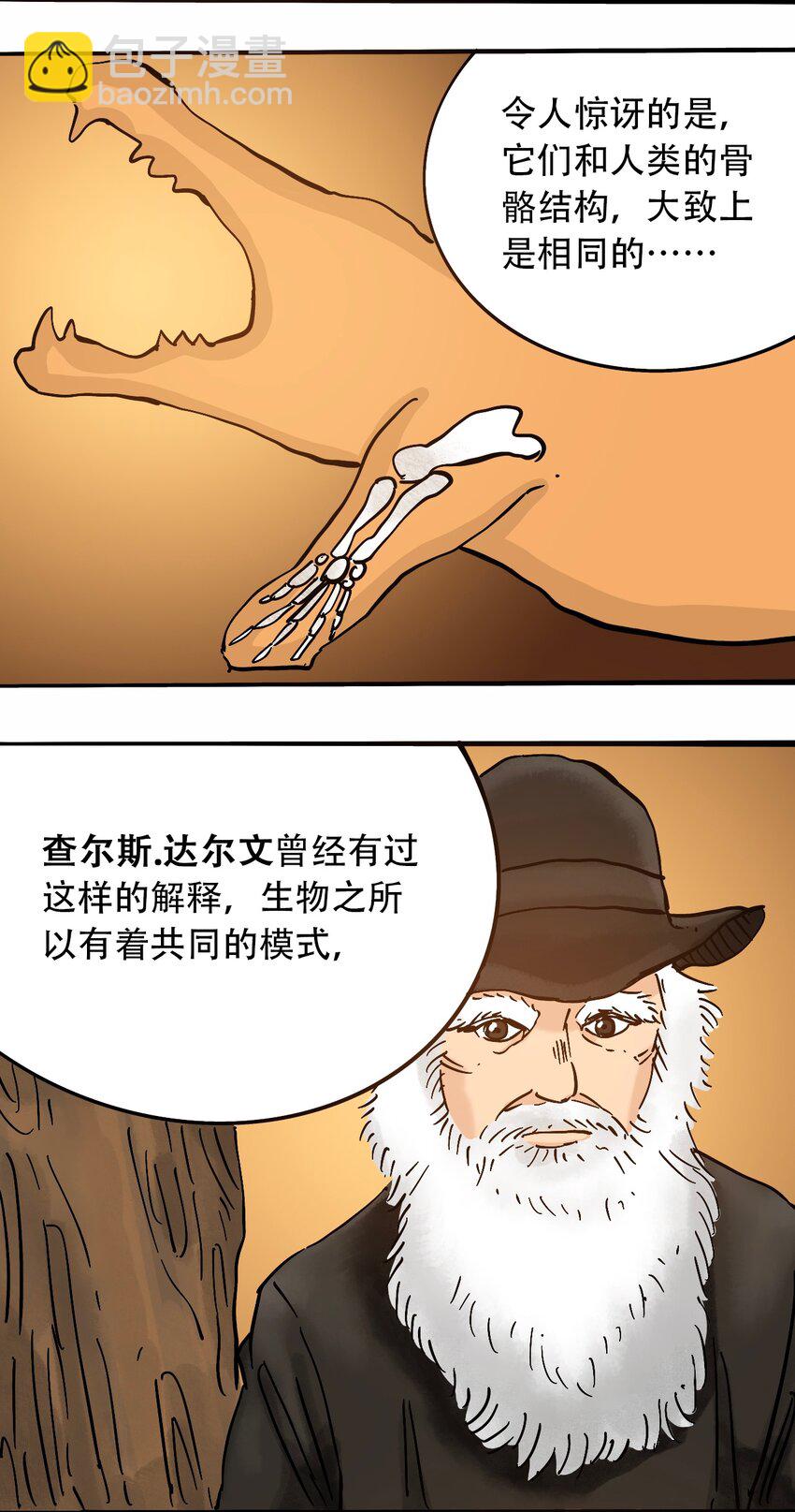 番外3 设计人类20
