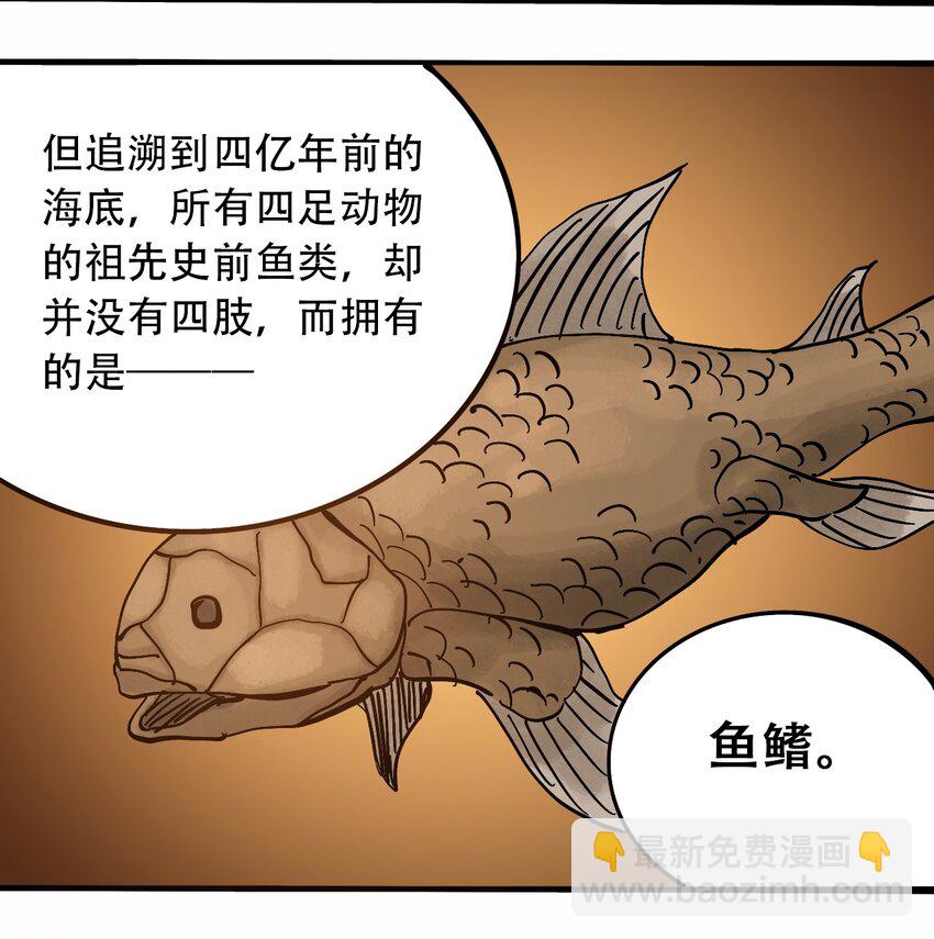 番外3 设计人类22