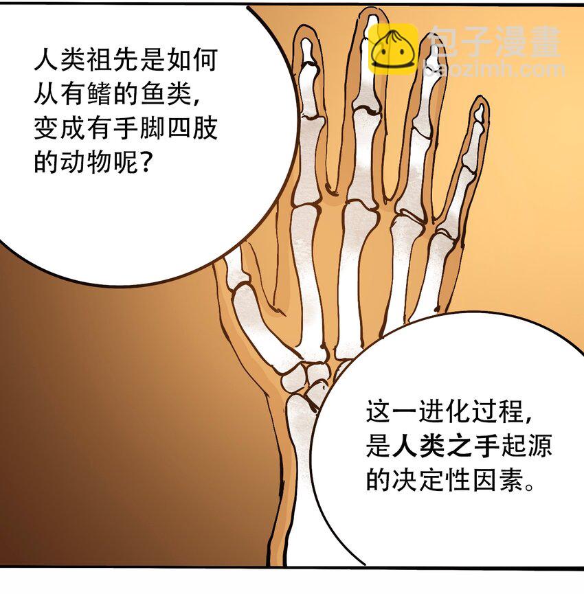 番外3 设计人类23