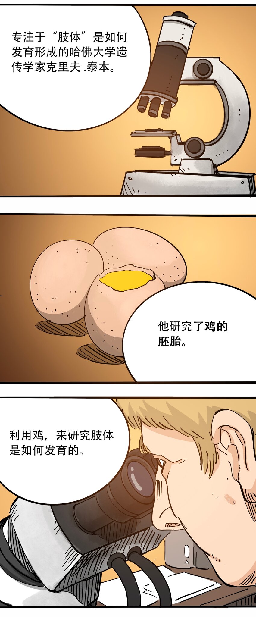 番外3 设计人类24