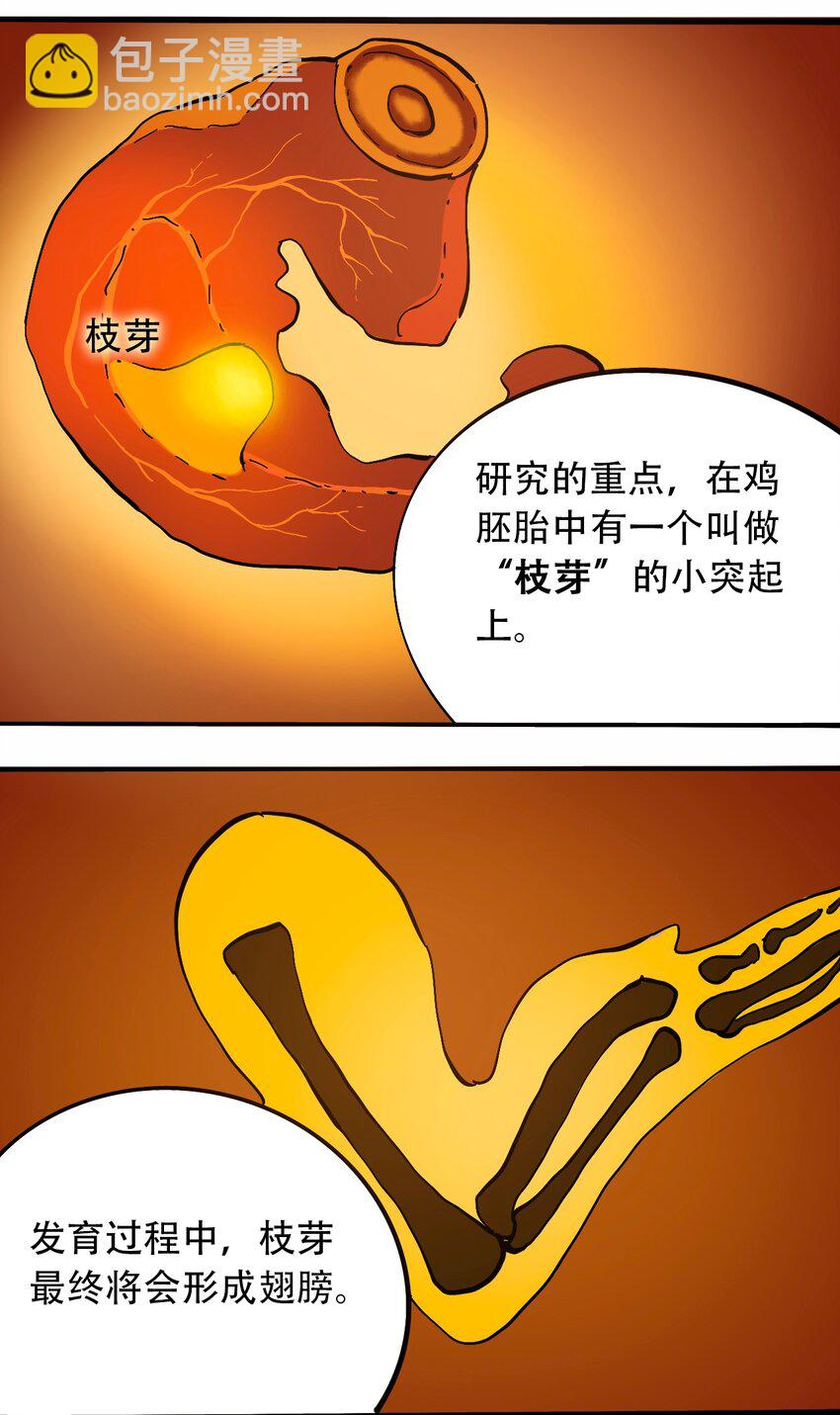 番外3 设计人类25