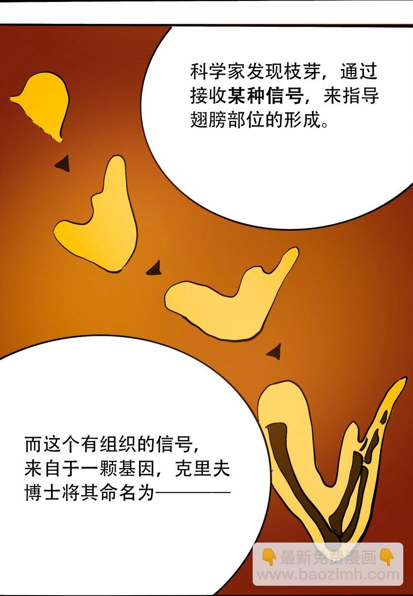 番外3 设计人类26