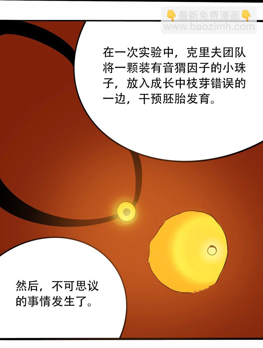 番外3 设计人类28