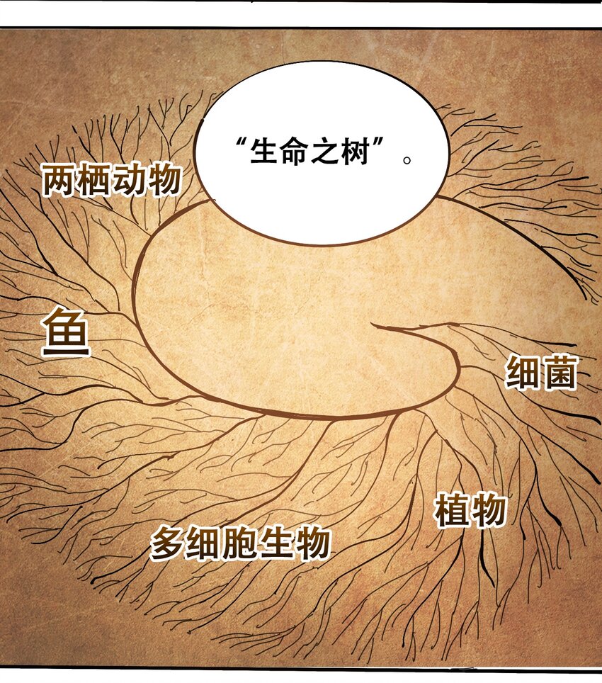 番外3 设计人类3