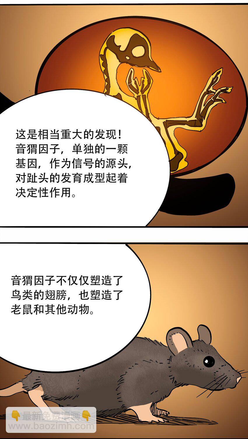番外3 设计人类30