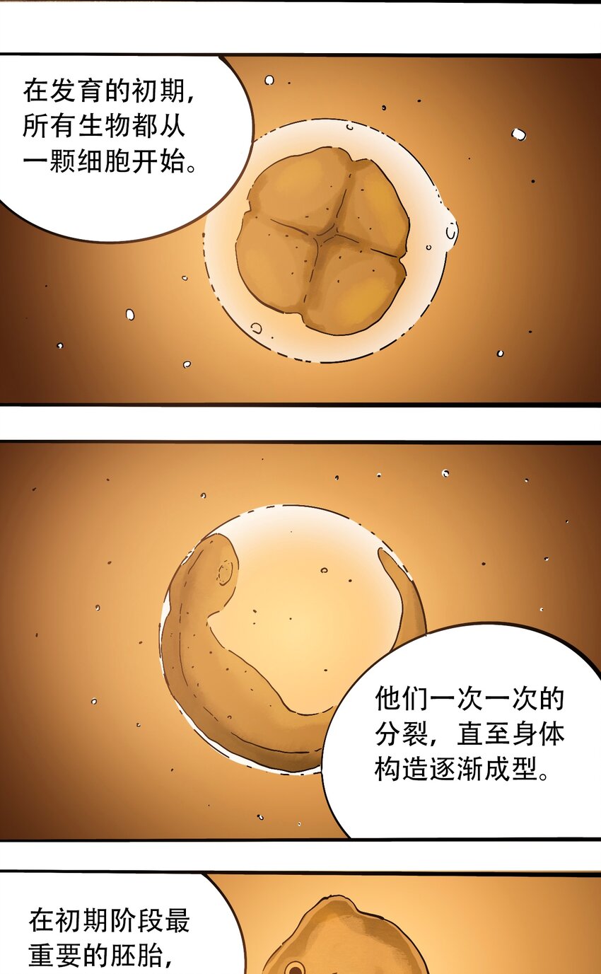 番外3 设计人类7