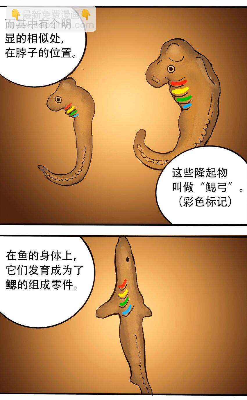 番外3 设计人类9