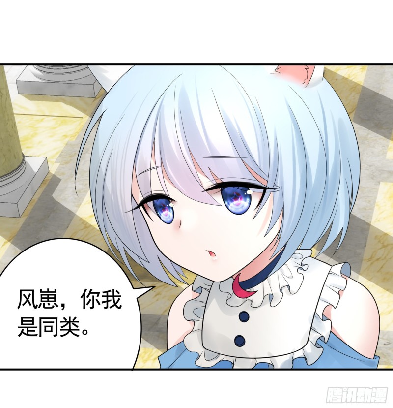 女神婚礼直播33