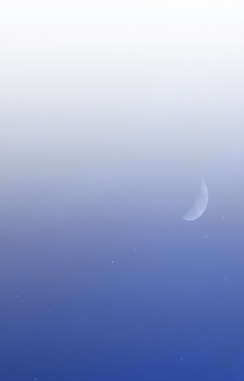 47 最后的尝试33