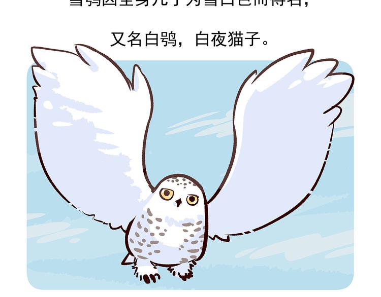 第35话21