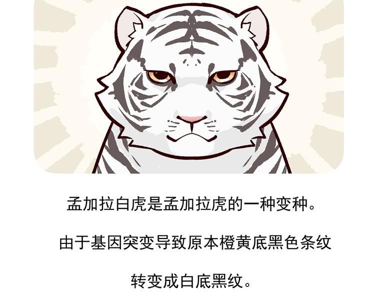第39话28