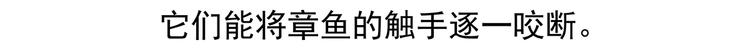 第43话22