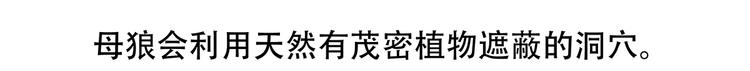 第54话23
